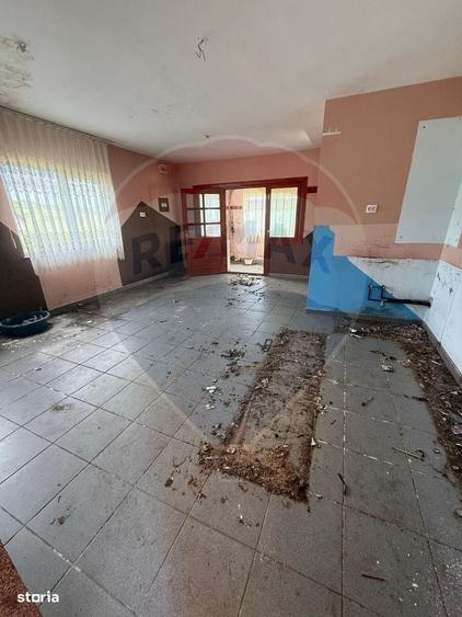 Casa de vacanta cu 8300 mp teren, de vanzare in Preluca Noua!! - 8