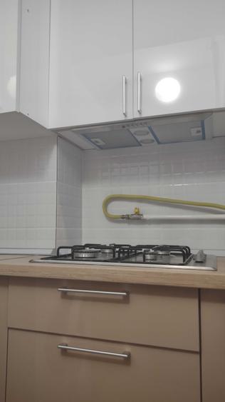 Garsonieră nedecomandată în Alexandru cel Bun