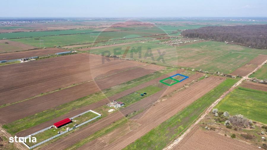 Teren de 500 mp, în Săbăreni