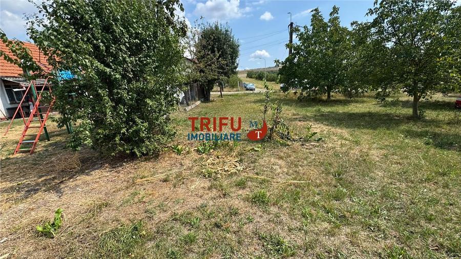Teren Construcții intravilan de 10651 mp, în Ampoi 1