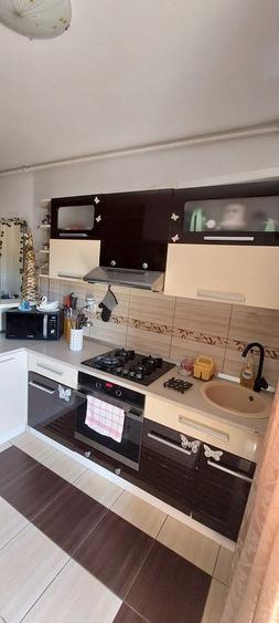 Apartament cu 2 camere în Săldăbagiu de Munte