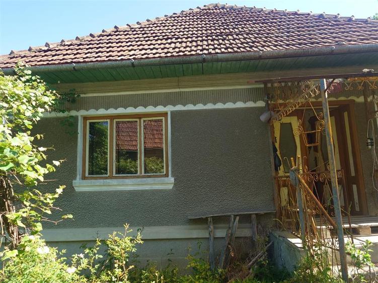 Casă individuală cu 3 camere cu Teren 34965 Mp în Blăjeni