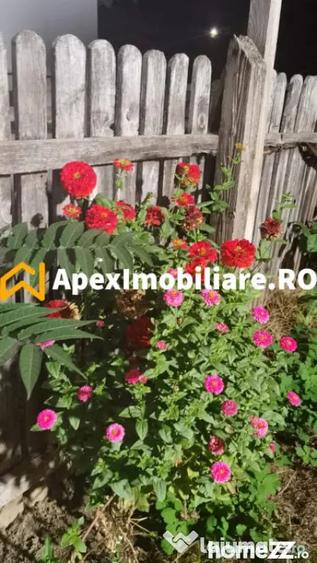 Casă cu 3 camere cu Teren 350 Mp în Cotroceni