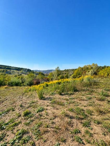 Teren Construcții intravilan de 650 mp, în Nord-Est