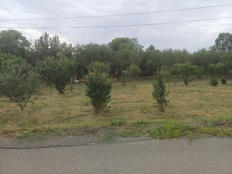 Teren de 1200 mp, în Borșa