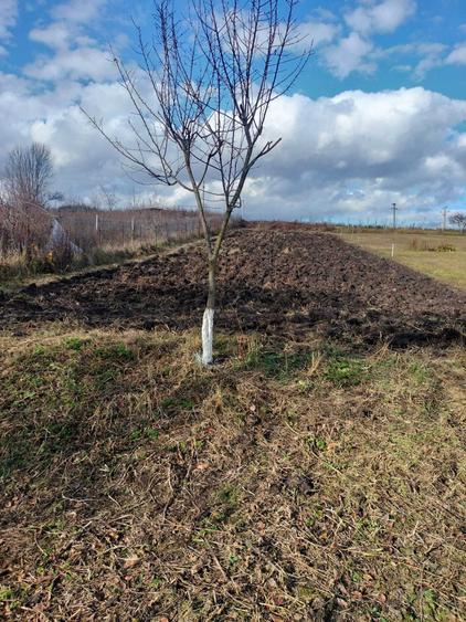Casă cu 1 camere în Plaiuri