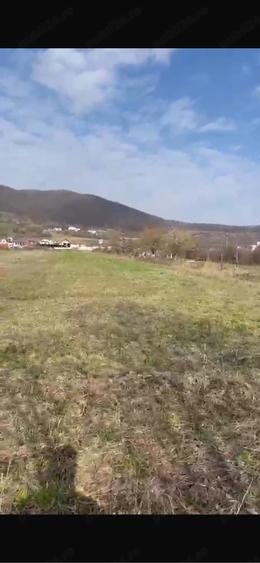 Teren de 2300 mp, în Viișoara