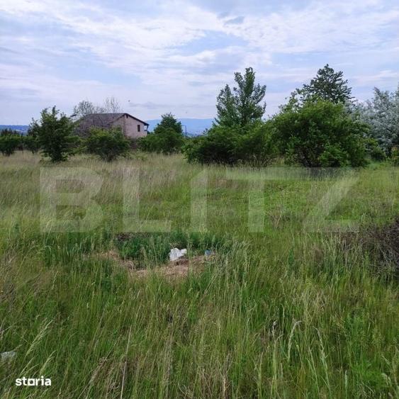 Spațiu comercial, în Rediu
