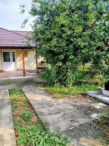 Casă individuală cu 3 camere cu Teren 6000 Mp în Bilciurești