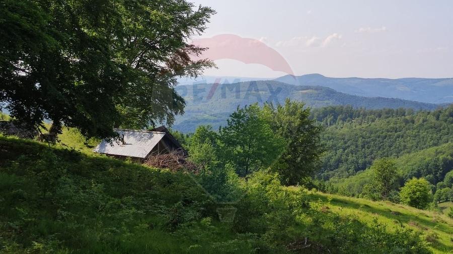 Teren agricol extravilan de 128948 mp, în Munteni