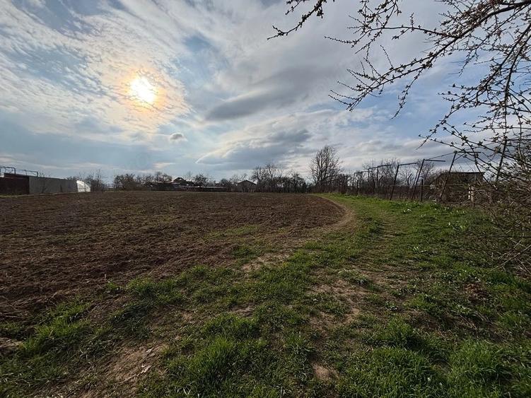 Teren de 2566 mp, în Dărmănești