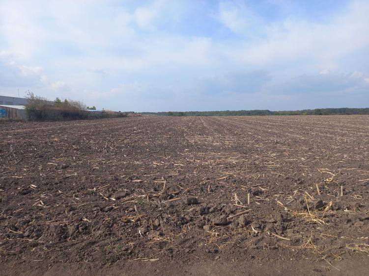 Teren de 10000 mp, în Dascălu