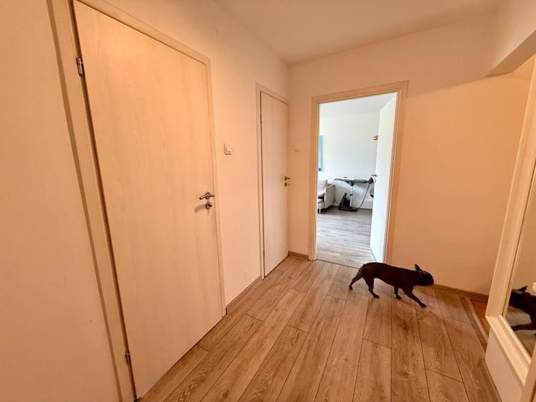 Apartament cu 4 camere decomandat, mobilat în Drumul Taberei