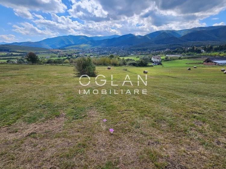 Teren Construcții intravilan de 3500 mp, în Turnișor