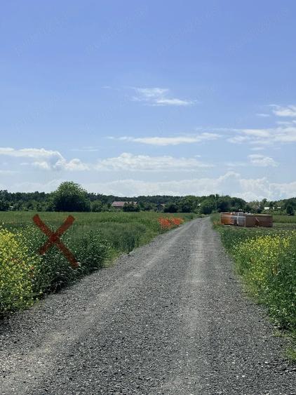 Teren de 5000 mp, în Mihai Vodă