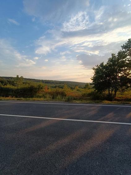 Teren de 5755 mp, în Hidiș