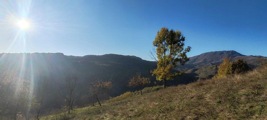 Casă cu 3 camere în Plai