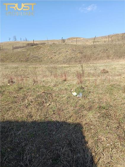 Casă cu 2 camere cu Teren 2698 Mp în Hagău