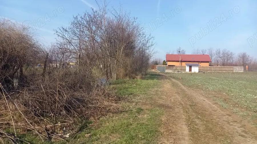 Teren de 10000 mp, în Dârvari