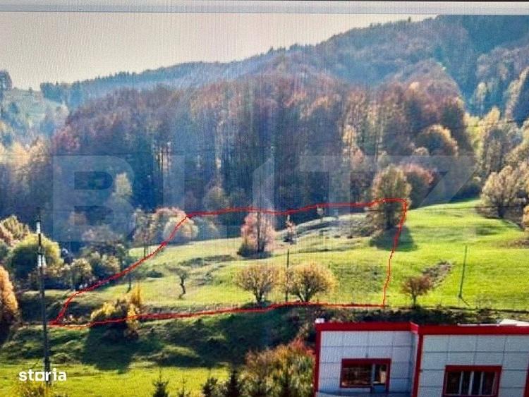 Spațiu comercial, în Central