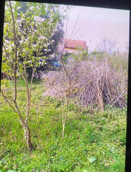 Teren de 518 mp, în Central