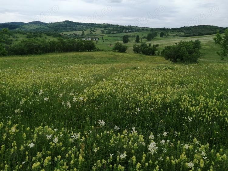 Teren de 4777 mp, în Posești