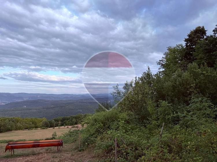 Teren agricol intravilan de 3690 mp, în Șuncuiuș