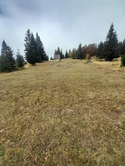 Teren de 6000 mp, în Deal