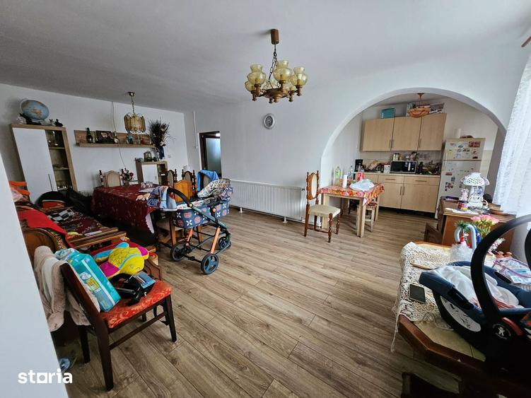 Casa cu 1566 mp teren in sat Mandruloc, com. Vladimirescu, jud. Arad - 11