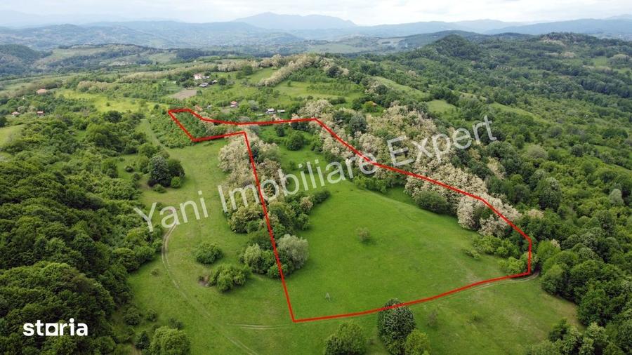 Teren de 34600 mp, în Tigveni