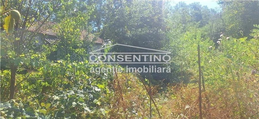 Casă cu Teren 3167 Mp în Măgura