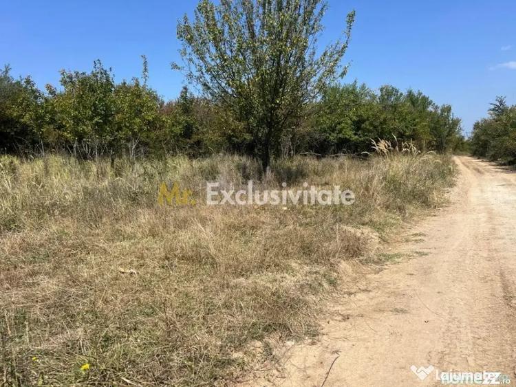 Teren de 5744 mp, în Moșoaia