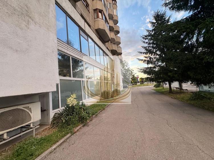 Spațiu comercial, de 760 mp, în Aradului