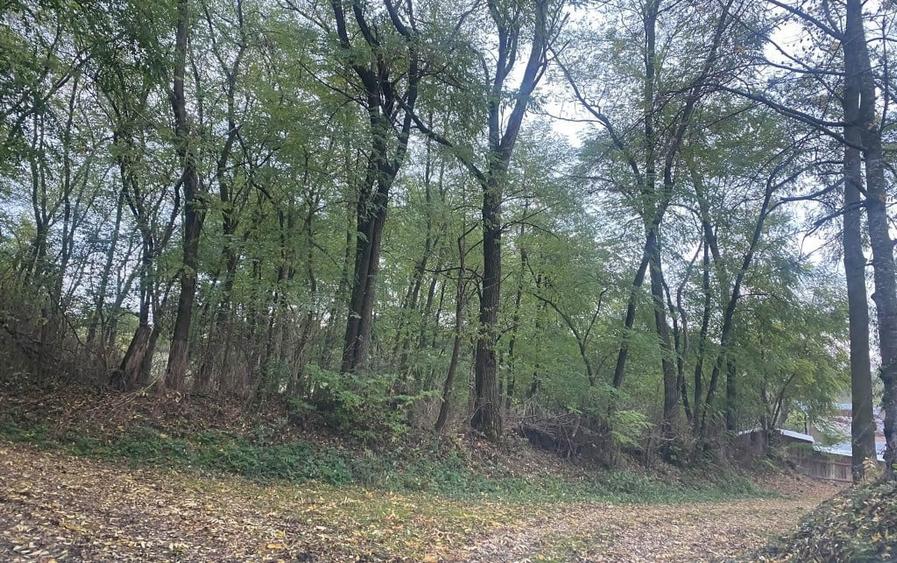 Teren de 7550 mp, în Bărcănești