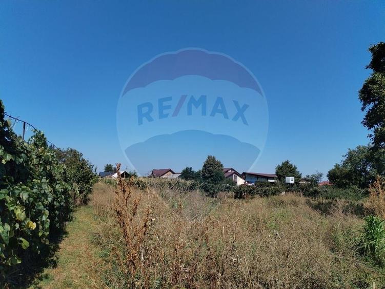 Casă individuală cu 4 camere cu Teren 3370 Mp în Central