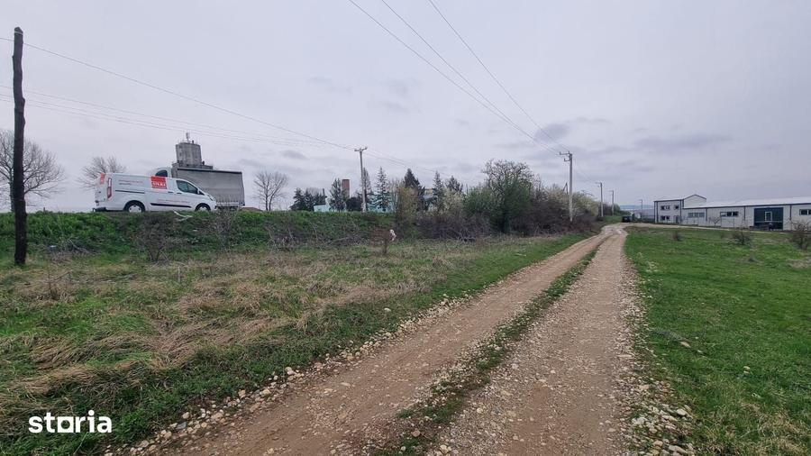 Teren de 8500 mp, în Albota