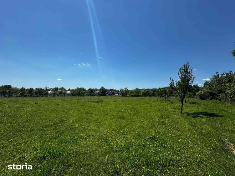 Teren de 5450 mp, în Brebu