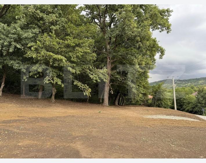 Teren Construcții intravilan de 1200 mp, în Exterior Sud