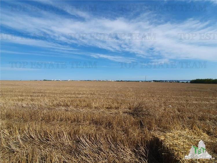 Teren Construcții extravilan de 5000 mp, în Agigea