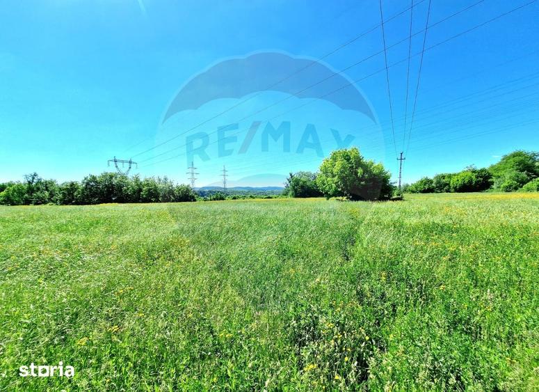 Teren de 8500 mp, în Cașin