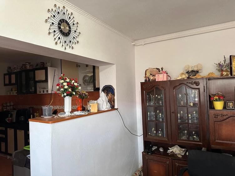 Casa individuala in Vatra Veche, Giarmata 300 mp utili - 4