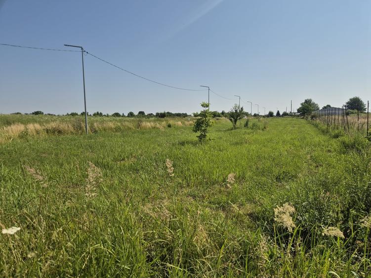 Teren Construcții intravilan de 2500 mp, în Izvorani