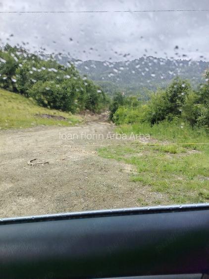 Teren 8,5 ha, Valea Neagra, Petrova, Maramures