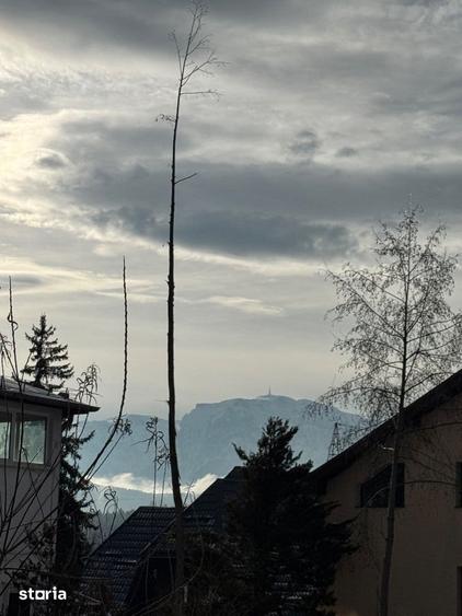 Teren de 500 mp, în Cioplea