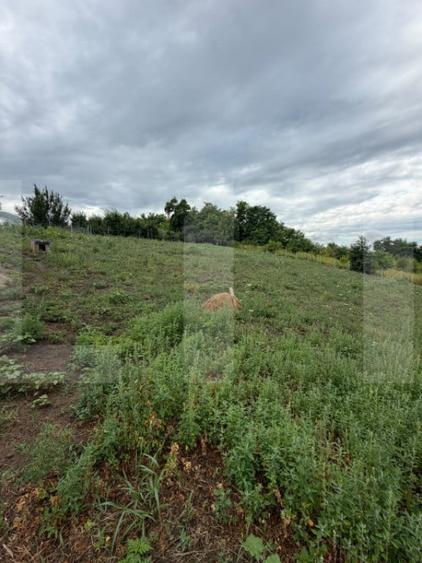 Teren intravilan, Dorohoi, 1532 mp, in apropiere de Gradina - 1