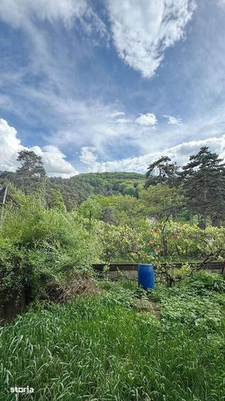 APARTAMET IN VILA CU GRADINA - 15