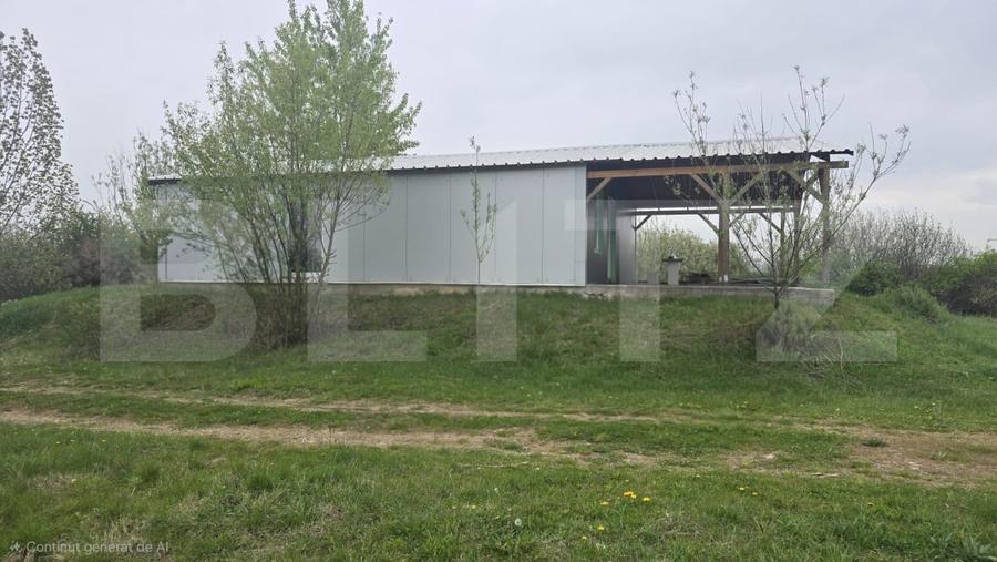 Spațiu industrial, de 106 mp, în Livada