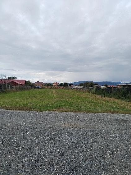Teren de 1460 mp, în Mihai Viteazu