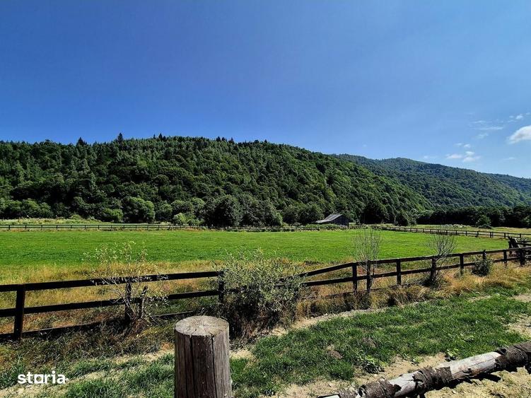 Oportunitate investitie resort/complex /pensiune ,Plaiul Foii Zarnesti - 8