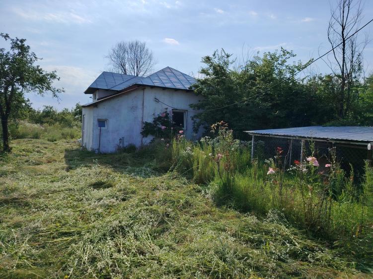 Casă cu 3 camere în Central